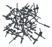 Pagalbinės smulkios dalys Sealey Plastic rivets O5 x 17.2mm, 50 pcs