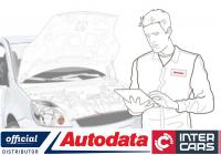 Dirbtuvių Programinė įranga AUTODATA techninių duomenų bazė Automobiliams, Online versija, Bazinis paketas, licencija: METAMS